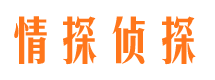 龙安外遇出轨调查取证